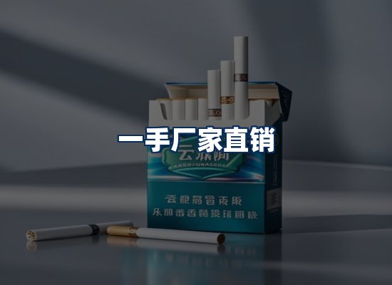 专业团队办公环境